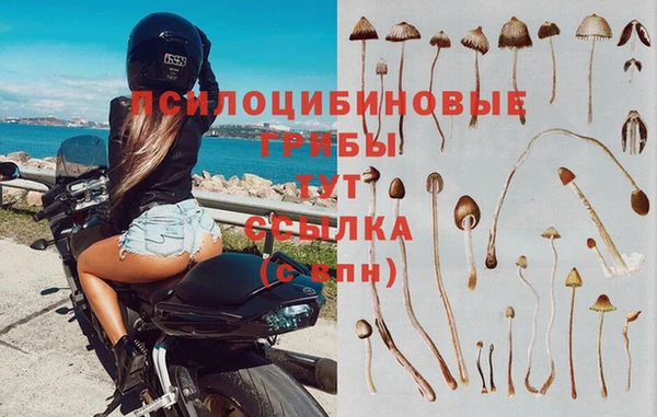 гидропоника Гусь-Хрустальный