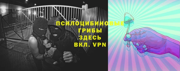 МДПВ Гусев