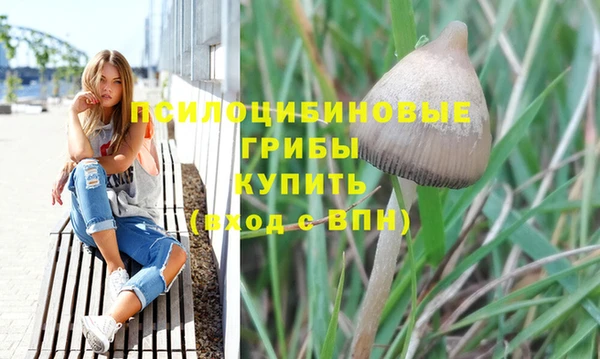 МДПВ Гусев