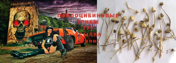 МДПВ Гусев