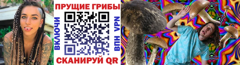 Галлюциногенные грибы MAGIC MUSHROOMS  Купить закладки  Тобольск 